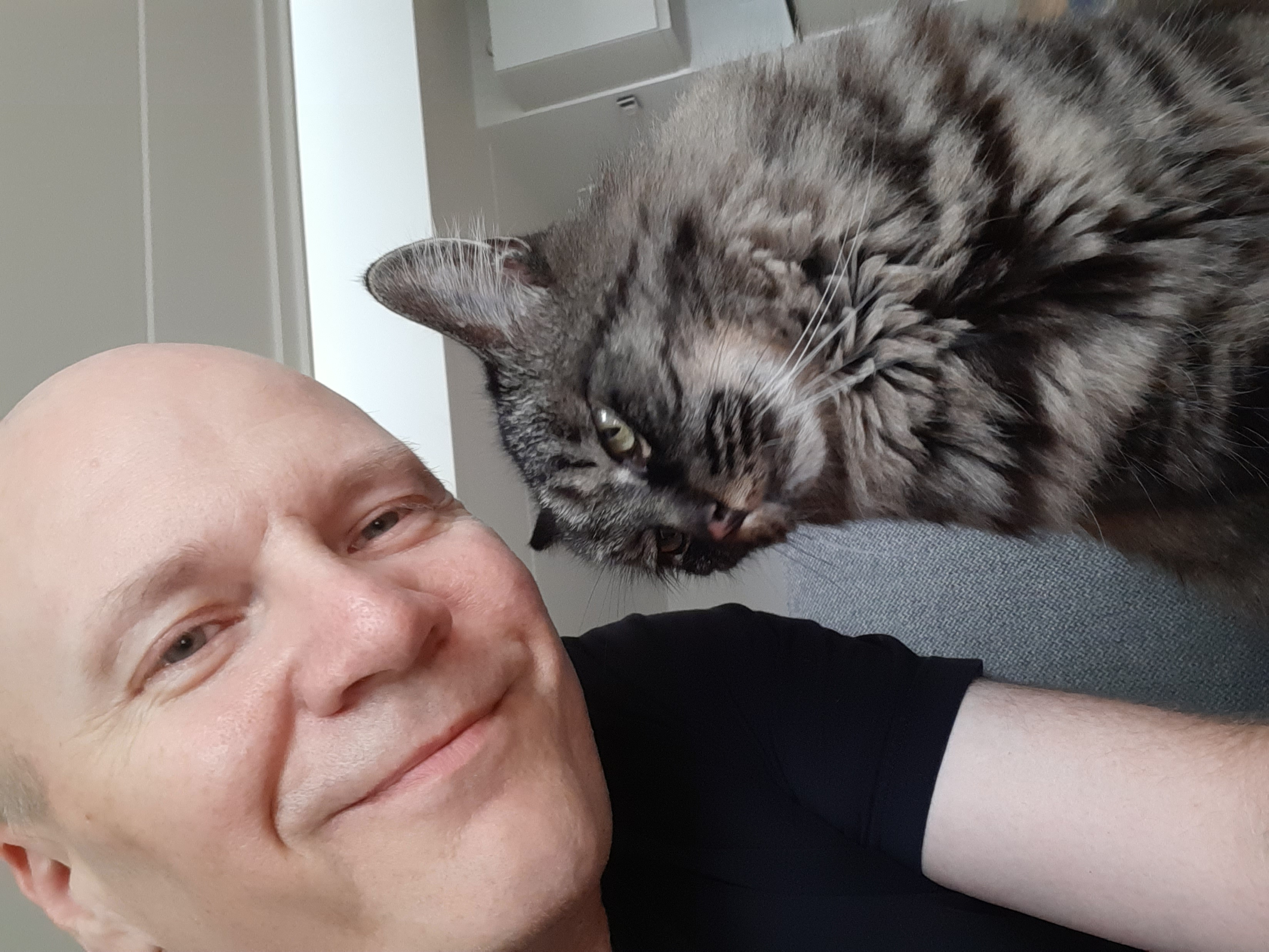 Gismo