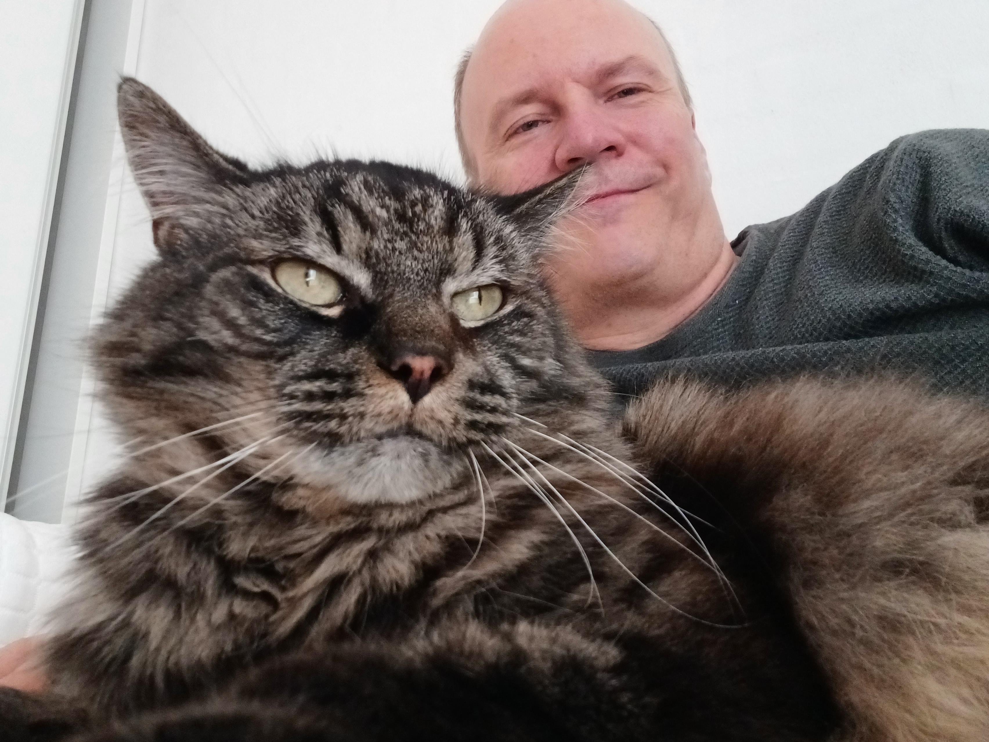 Gismo